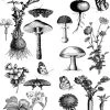 Prima Re-Design FUNGI FOREST – TOTAL SHEET SIZE 24″ X 35.3″, CUT INTO 2 SHEETS Decor Transfers
