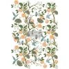 Prima Re-Design Decor Transfers Orange Grove Transfer Redesign With Prima Size 24″ X 35″ 2 Prima Re-Design Decor Transfers Orange Grove Transfer Redesign With Prima Size 24″ X 35″