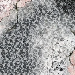 Papercraft & Scrapbooking Le Cygne Noir Paper Pad 8x8 12/Pkg By Ciao Bella 49 Papercraft & Scrapbooking Le Cygne Noir Paper Pad 8x8 12/Pkg By Ciao Bella