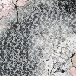 Papercraft & Scrapbooking Le Cygne Noir Fussy Cut Pad 6x6 24/Pkg By Ciao Bella