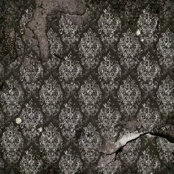 Papercraft & Scrapbooking Le Cygne Noir Fussy Cut Pad 6x6 24/Pkg By Ciao Bella