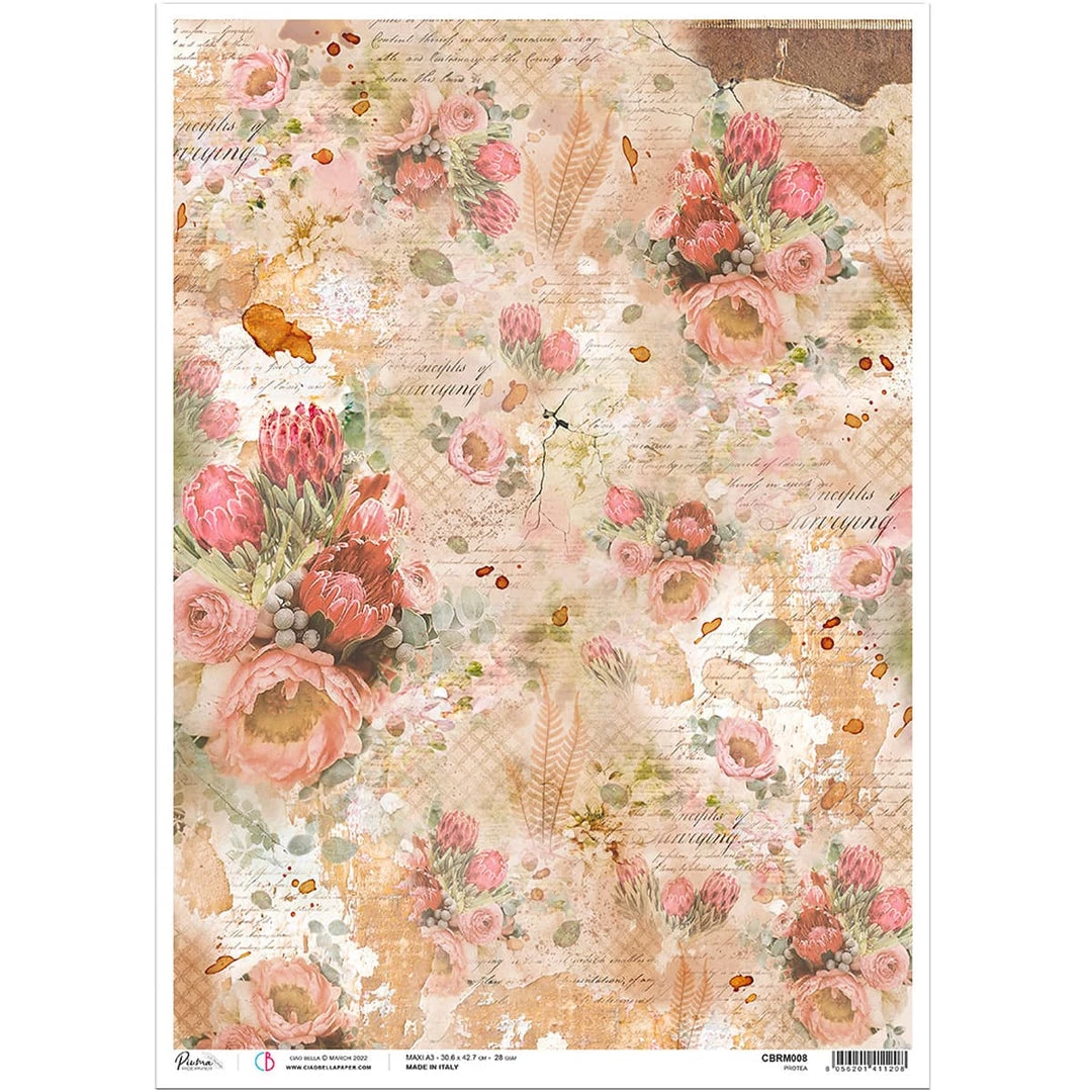 Protea - A3 Rice Paper The Muse Ciao Bella Collection A3 Decoupage Rice Paper 3 Protea - A3 Rice Paper The Muse Ciao Bella Collection A3 Decoupage Rice Paper