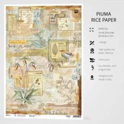 Botanical - A3 Rice Paper Sign Of The Times Ciao Bella Collection