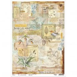 Botanical - A3 Rice Paper Sign Of The Times Ciao Bella Collection