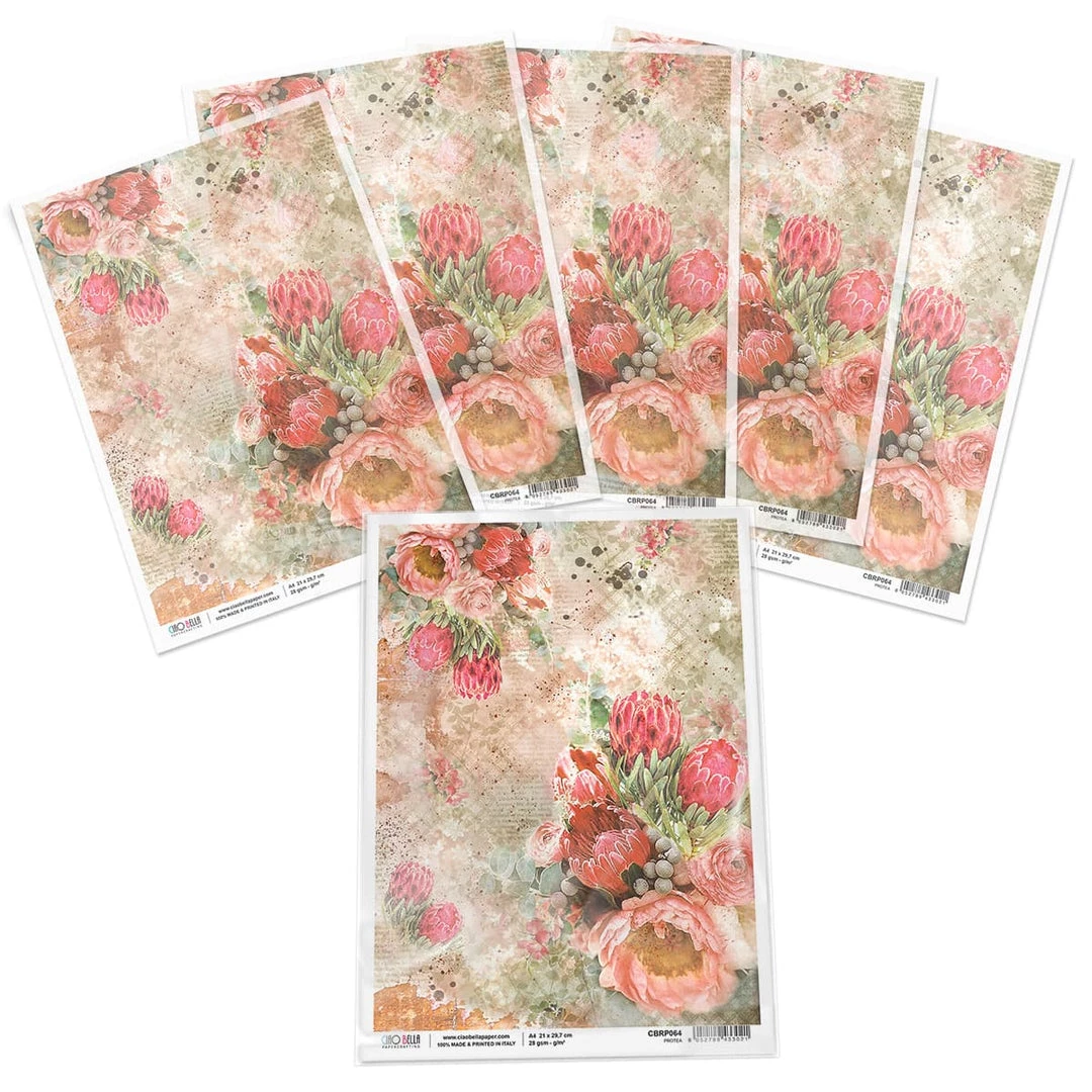 Protea - A4 Rice Paper The Muse Ciao Bella Collection A4 Decoupage Rice Paper 5 Protea - A4 Rice Paper The Muse Ciao Bella Collection A4 Decoupage Rice Paper