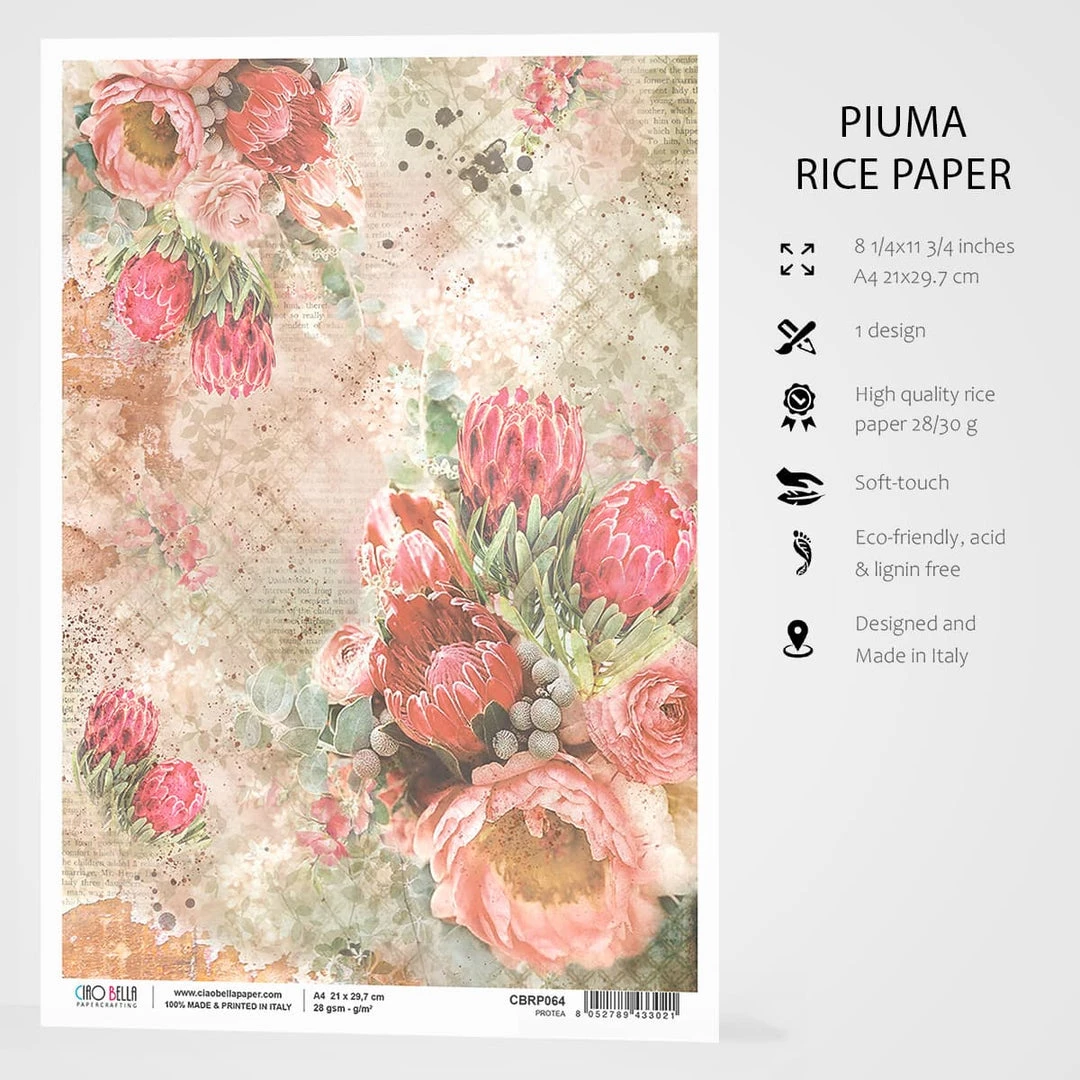 Protea - A4 Rice Paper The Muse Ciao Bella Collection A4 Decoupage Rice Paper 4 Protea - A4 Rice Paper The Muse Ciao Bella Collection A4 Decoupage Rice Paper
