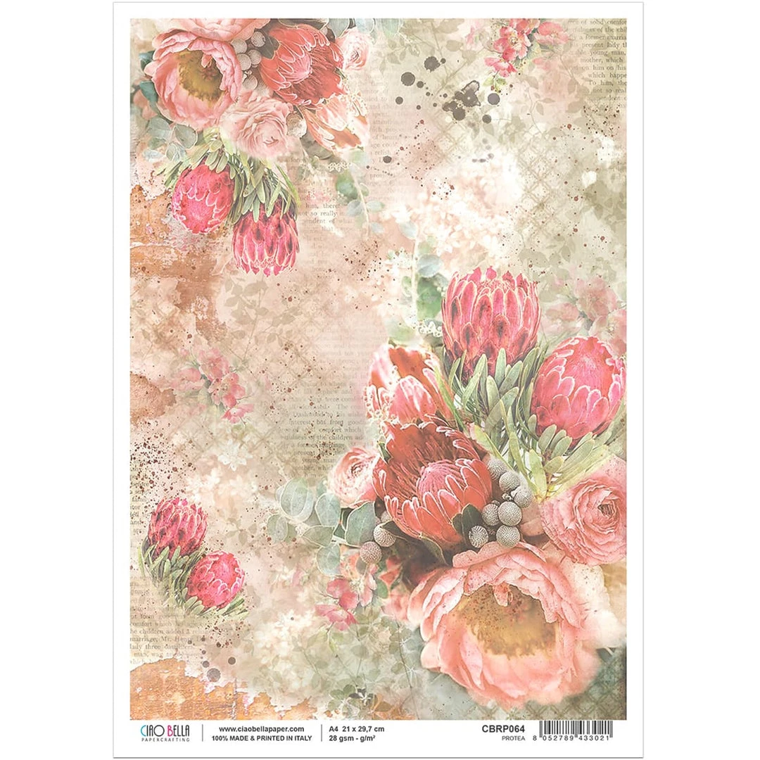 Protea - A4 Rice Paper The Muse Ciao Bella Collection A4 Decoupage Rice Paper 3 Protea - A4 Rice Paper The Muse Ciao Bella Collection A4 Decoupage Rice Paper