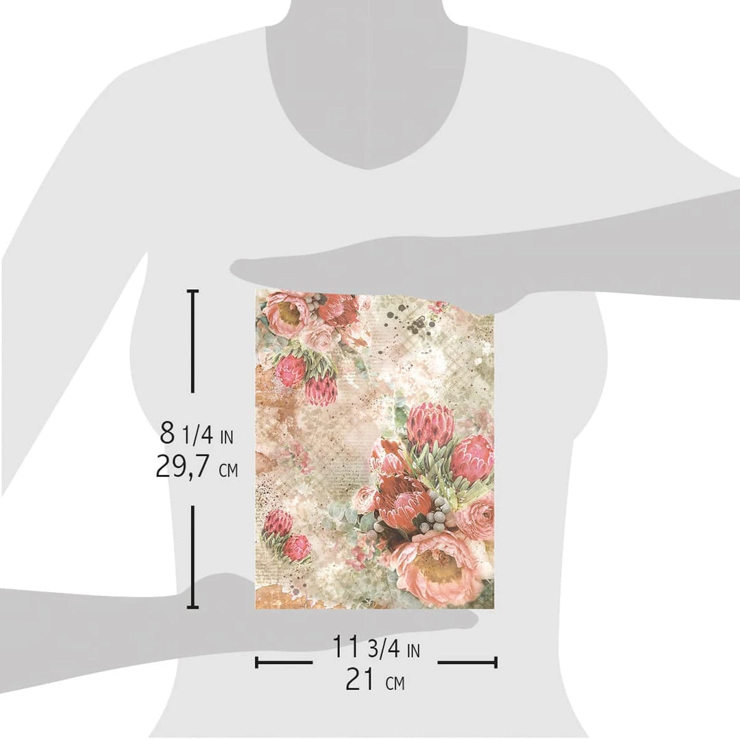 Protea - A4 Rice Paper The Muse Ciao Bella Collection A4 Decoupage Rice Paper 6 Protea - A4 Rice Paper The Muse Ciao Bella Collection A4 Decoupage Rice Paper