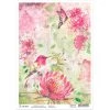 A4 Decoupage Rice Paper Hummingbird - A4 Rice Paper Microcosmos Ciao Bella Collection 1 A4 Decoupage Rice Paper Hummingbird - A4 Rice Paper Microcosmos Ciao Bella Collection