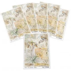 Botanical - A4 Rice Paper Sign Of The Times Ciao Bella Collection 8 Botanical - A4 Rice Paper Sign Of The Times Ciao Bella Collection