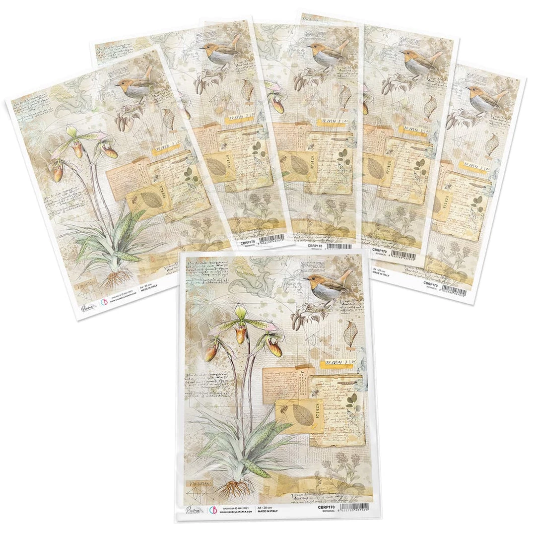 Botanical - A4 Rice Paper Sign Of The Times Ciao Bella Collection 5 Botanical - A4 Rice Paper Sign Of The Times Ciao Bella Collection