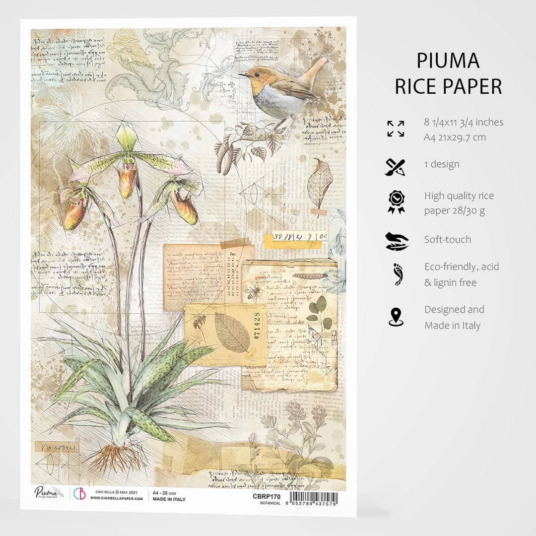 Botanical - A4 Rice Paper Sign Of The Times Ciao Bella Collection 4 Botanical - A4 Rice Paper Sign Of The Times Ciao Bella Collection