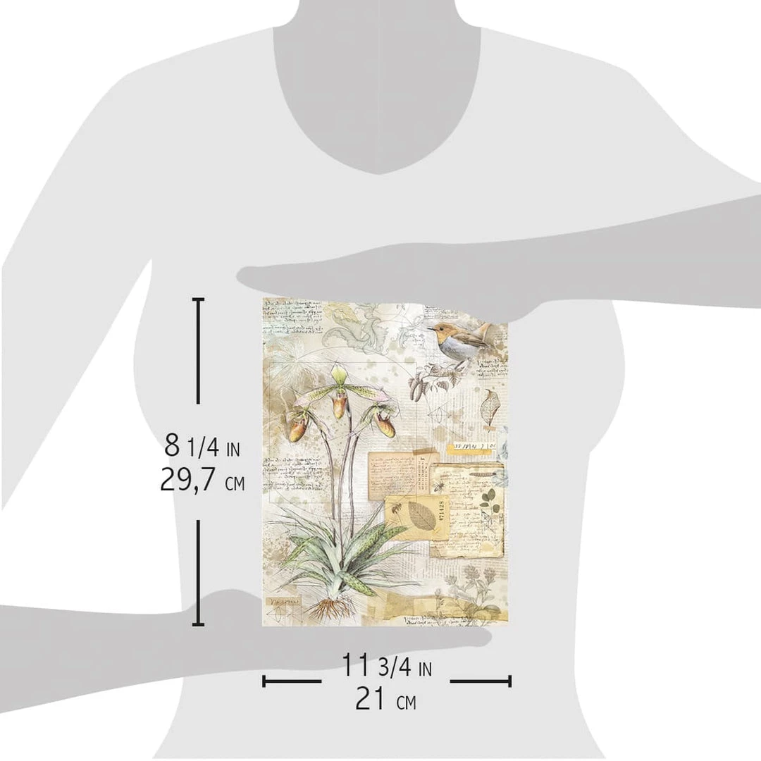 Botanical - A4 Rice Paper Sign Of The Times Ciao Bella Collection 6 Botanical - A4 Rice Paper Sign Of The Times Ciao Bella Collection