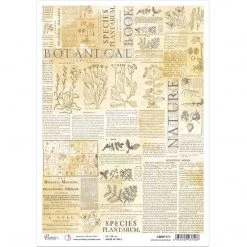 Species Plantarium - A4 Rice Paper Sign Of The Times Ciao Bella Collection A4 Decoupage Rice Paper