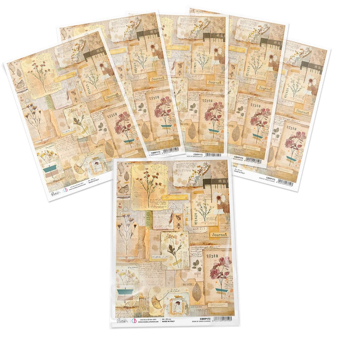 Book Of Dried Flowers - A4 Rice Paper Sign Of The Times Ciao Bella Collection A4 Decoupage Rice Paper 5 Book Of Dried Flowers - A4 Rice Paper Sign Of The Times Ciao Bella Collection A4 Decoupage Rice Paper