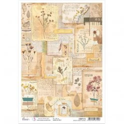 Book Of Dried Flowers - A4 Rice Paper Sign Of The Times Ciao Bella Collection A4 Decoupage Rice Paper