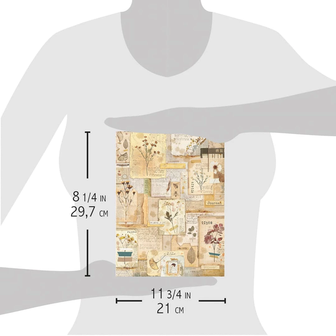 Book Of Dried Flowers - A4 Rice Paper Sign Of The Times Ciao Bella Collection A4 Decoupage Rice Paper 6 Book Of Dried Flowers - A4 Rice Paper Sign Of The Times Ciao Bella Collection A4 Decoupage Rice Paper
