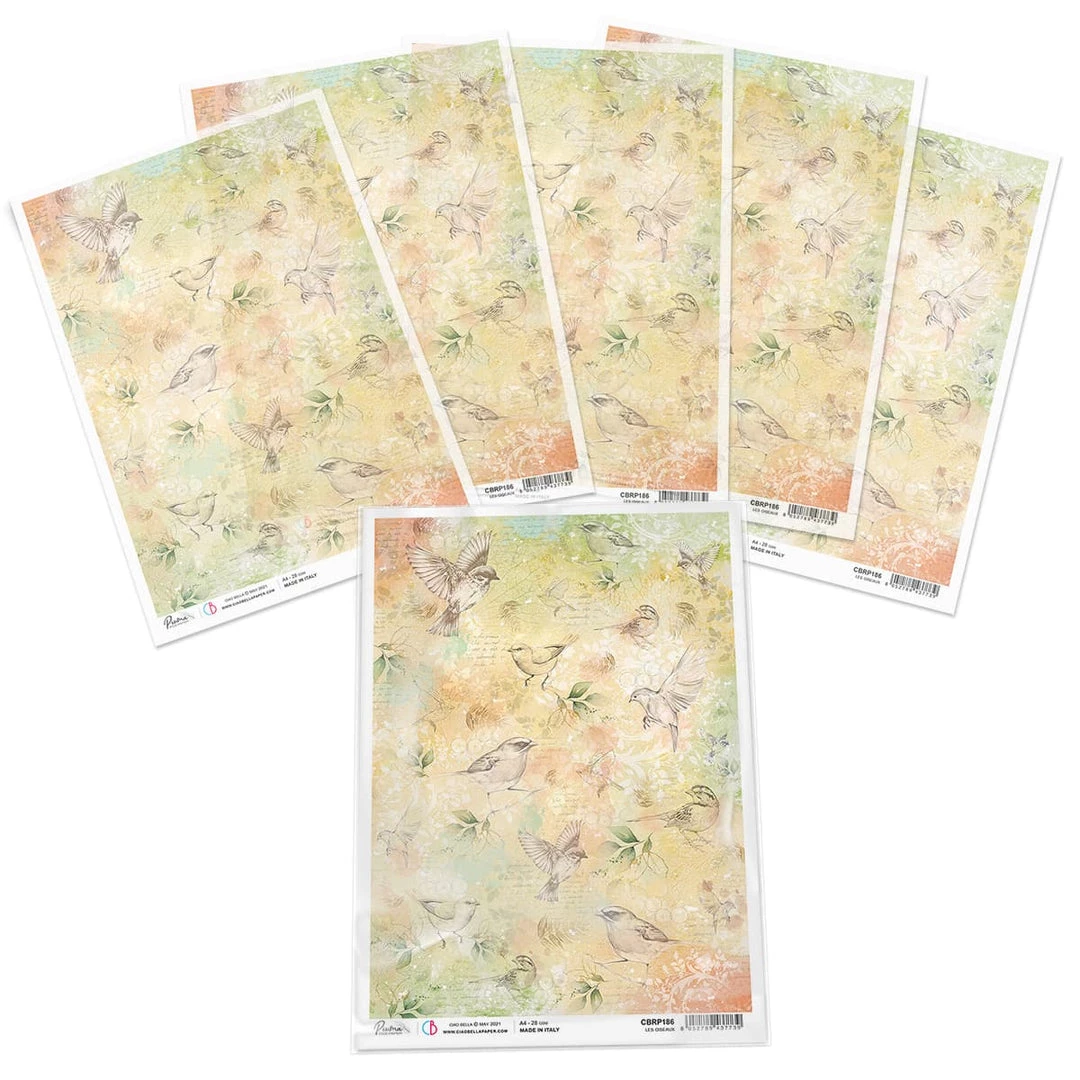Les Oiseaux - A4 Rice Paper Notre Vie Ciao Bella Collection A4 Decoupage Rice Paper 5 Les Oiseaux - A4 Rice Paper Notre Vie Ciao Bella Collection A4 Decoupage Rice Paper