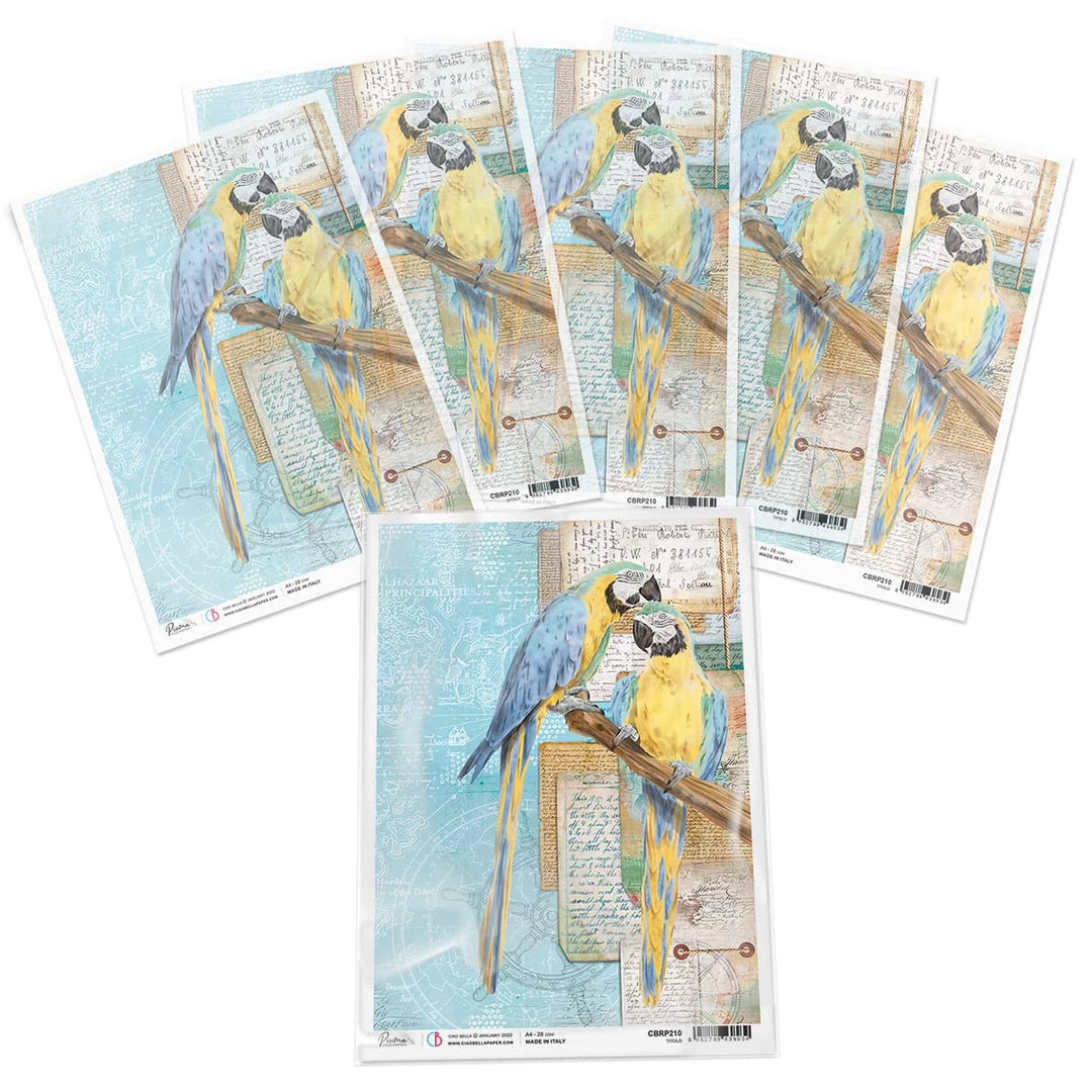 A4 Decoupage Rice Paper Captain's Quarters - A4 Rice Paper Underwater Love Ciao Bella Collection 5 A4 Decoupage Rice Paper Captain's Quarters - A4 Rice Paper Underwater Love Ciao Bella Collection