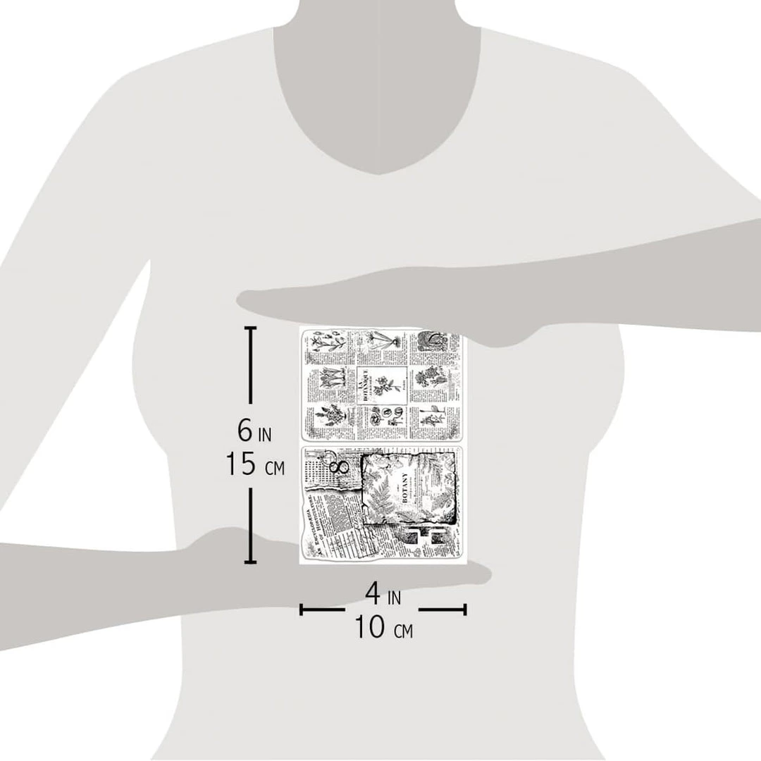 Newly Added Products! Botanical Horticulture Clear Stamp 4x6 By Ciao Bella Stamping Art 5 Newly Added Products! Botanical Horticulture Clear Stamp 4x6 By Ciao Bella Stamping Art