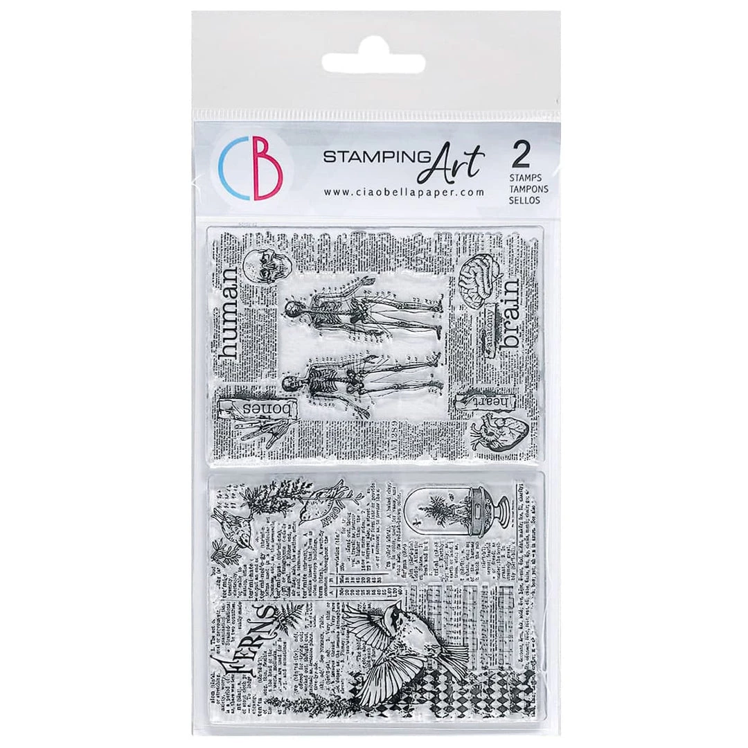 Human & Nature Clear Stamp 4x6 By Ciao Bella Stamping Art Fall / Halloween 4 Human & Nature Clear Stamp 4x6 By Ciao Bella Stamping Art Fall / Halloween