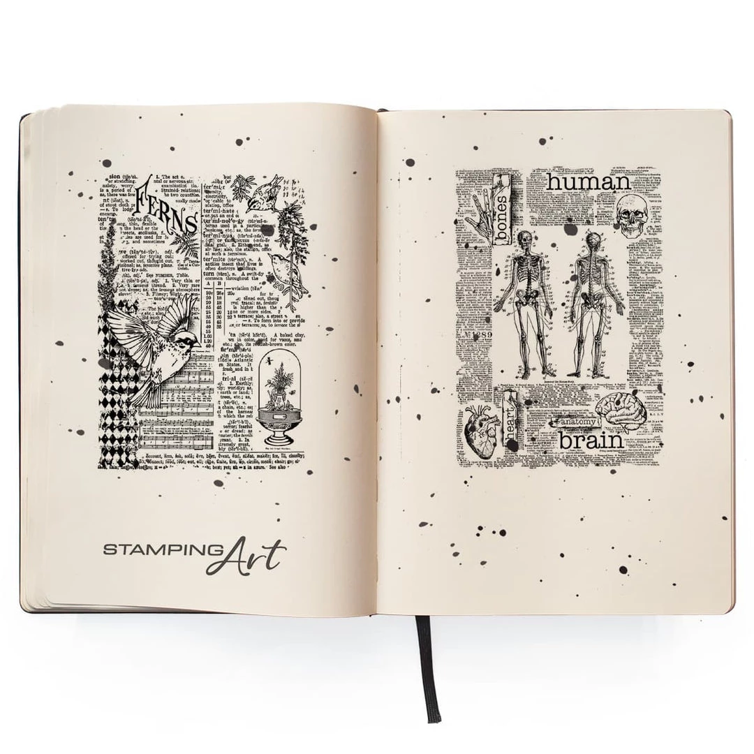 Human & Nature Clear Stamp 4x6 By Ciao Bella Stamping Art Fall / Halloween 3 Human & Nature Clear Stamp 4x6 By Ciao Bella Stamping Art Fall / Halloween