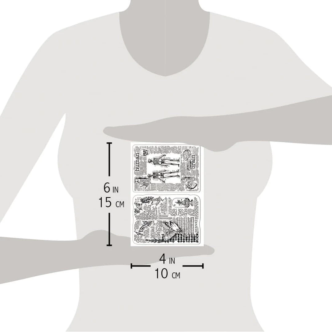 Human & Nature Clear Stamp 4x6 By Ciao Bella Stamping Art Fall / Halloween 5 Human & Nature Clear Stamp 4x6 By Ciao Bella Stamping Art Fall / Halloween