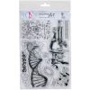 Science - Clear Stamp 6x8 By Ciao Bella Stamping Art Newly Added Products!