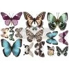 Prima Re-Design Butterfly Mini-Transfer - Total Sheet Size: 6″ X 12″