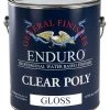 All Paint Products General Finishes Enduro Clear Poly Gloss