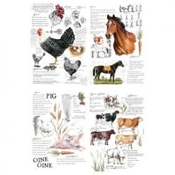 Prima Re-Design Decor Transfers Farm Life Transfer Redesign With Prima – TOTAL SHEET SIZE 24″ X 32″, CUT INTO 2 SHEETS
