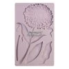 Prima Re-Design Grandeur Flora Silicone Mold Redesign With Prima Decor Mould