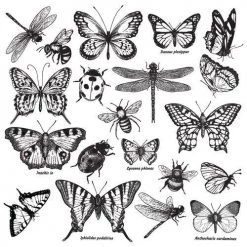 Prima Re-Design Monarch Collection Butterfly Stamp Redesign Decor Clear-Cling Stamp