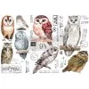 Prima Re-Design Decor Transfers Owl Mini-Transfer Redesign With Prima Total Sheet Size: 6″ X 12″
