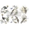 Prima Re-Design Decor Transfers Rare Birds Mini-Transfer Redesign With Prima Total Sheet Size: 6″ X 12″ 1 Prima Re-Design Decor Transfers Rare Birds Mini-Transfer Redesign With Prima Total Sheet Size: 6″ X 12″