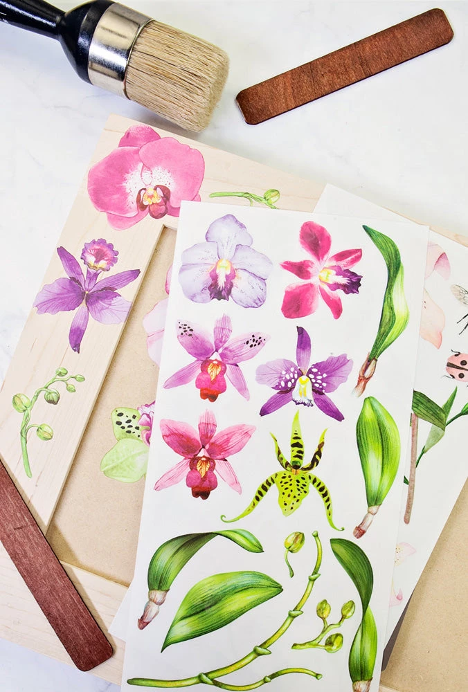 Prima Re-Design Sunset Tropics Mini Transfer Redesign With Prima Total Sheet Size: 6″ X 12″ 4 Prima Re-Design Sunset Tropics Mini Transfer Redesign With Prima Total Sheet Size: 6″ X 12″